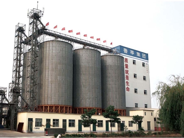 Animal feed production line